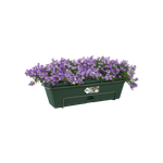 green basics balkonkasten allin1 50cm laubgrün